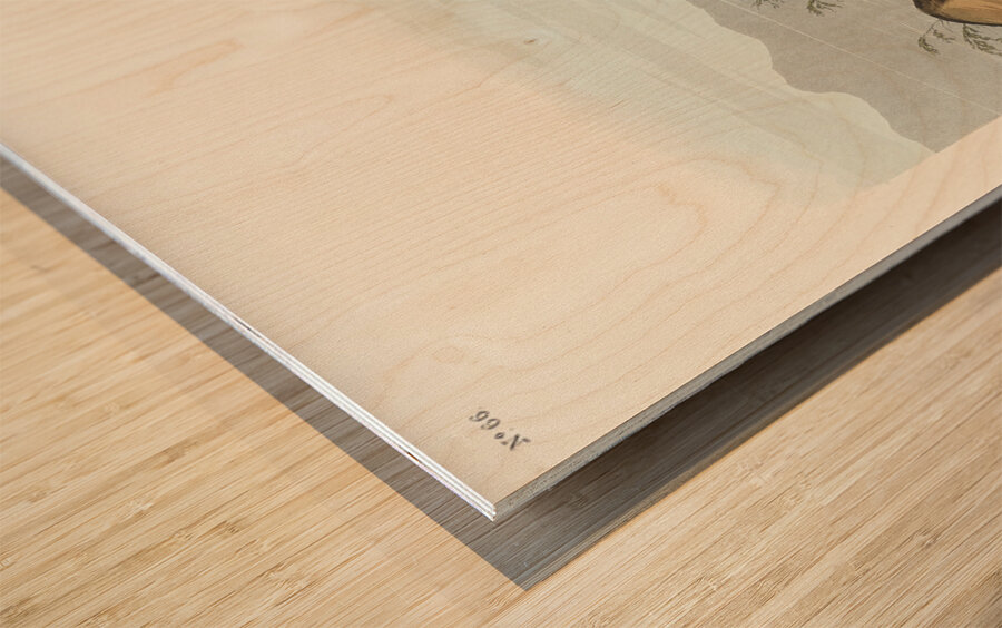 Ring Plover Wood print