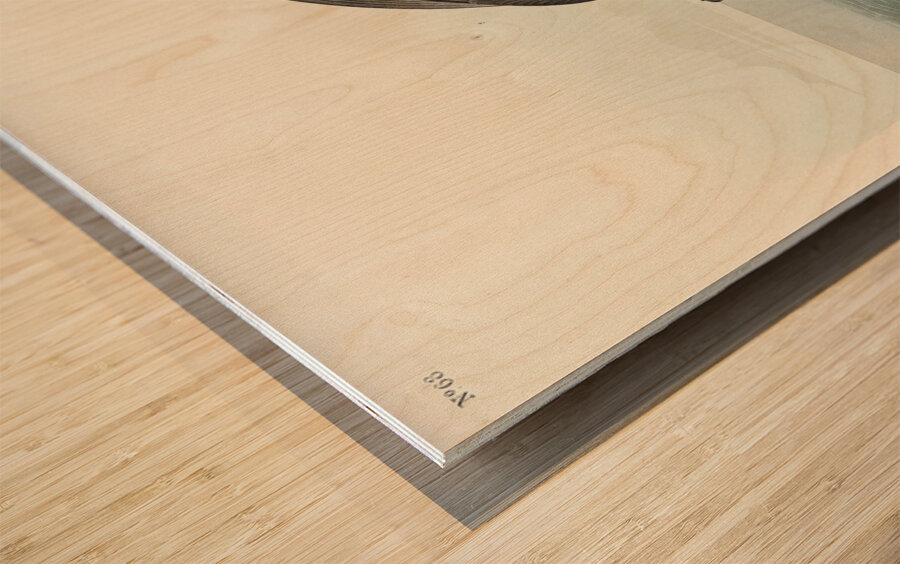 Least Stormy-Petrel Wood print