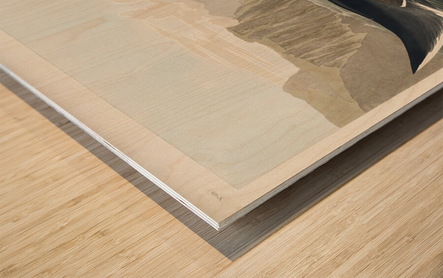 Great Auk Wood print