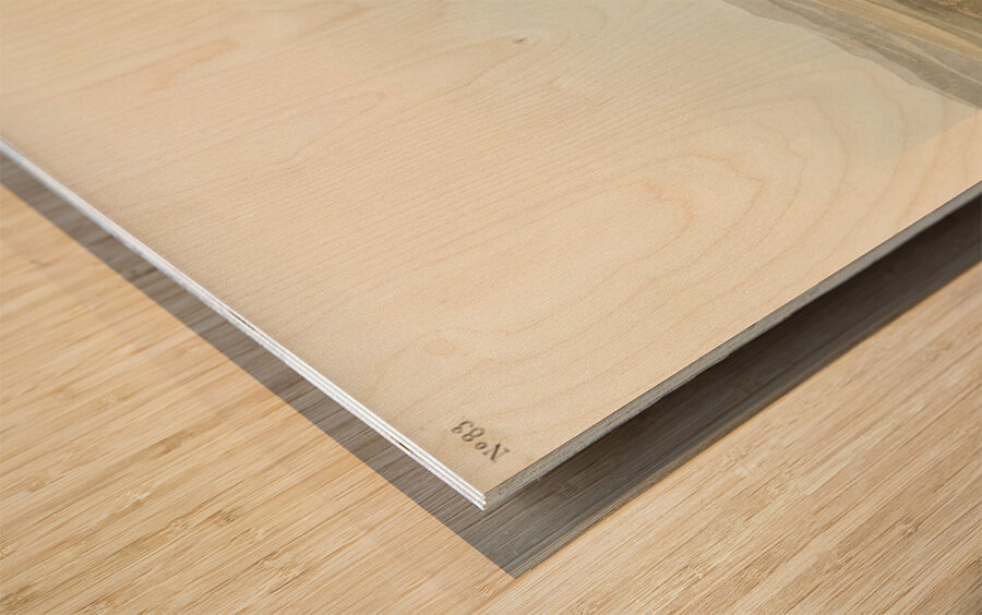 California Partridge Wood print