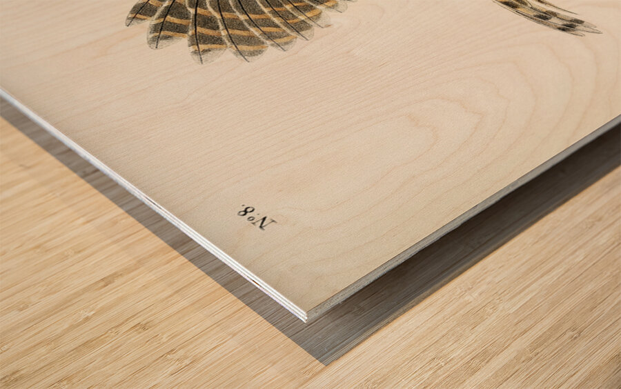 Barred Owl Wood print