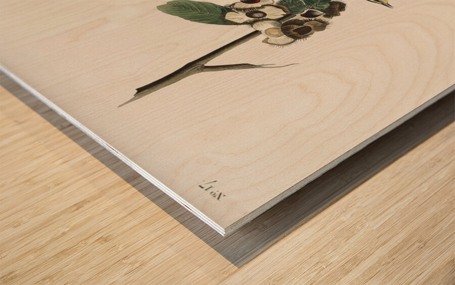 Yellow Throated Warbler Wood print