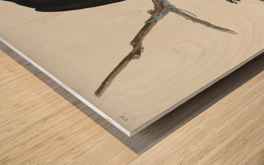 Black Warrior Wood print