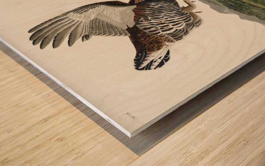 Wandering Shearwater Wood print