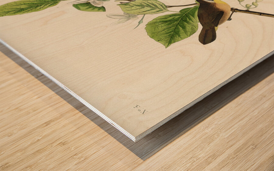 Wandering Shearwater Wood print