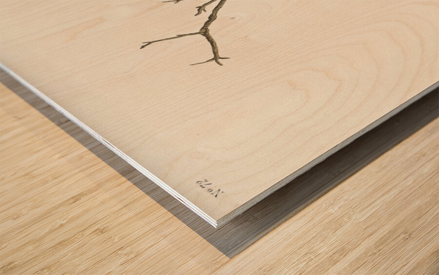 Winter Wren and Rock Wren Wood print