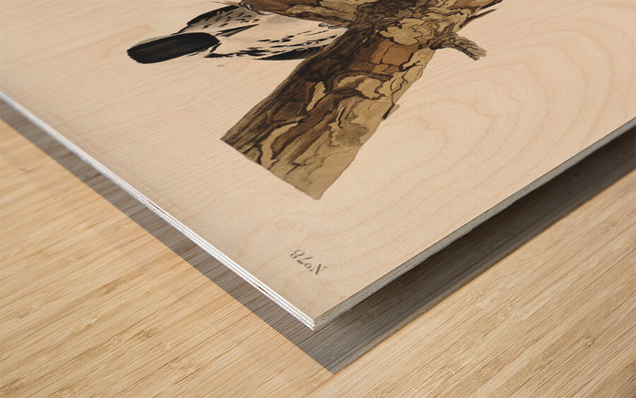 Red-Cockaded Woodpecker Wood print