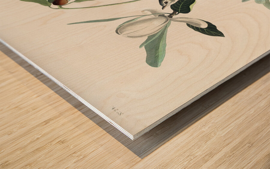 Warbling Flycatcher Wood print