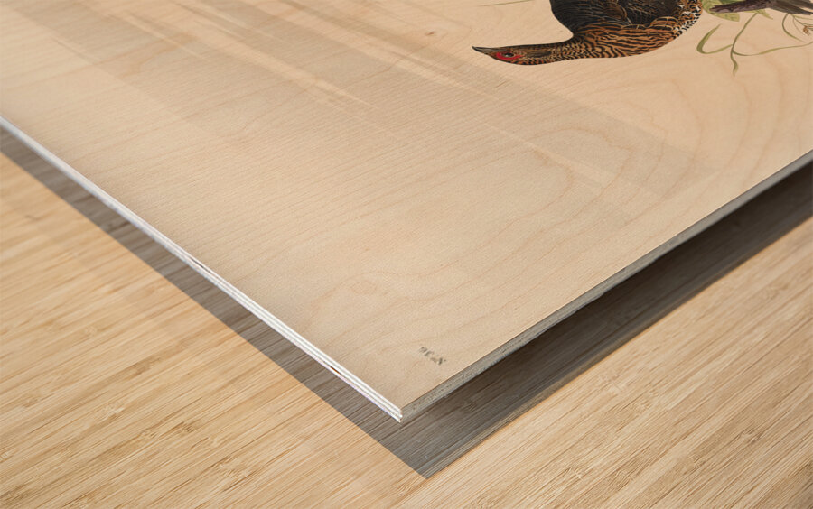 Spotted Grouse Wood print