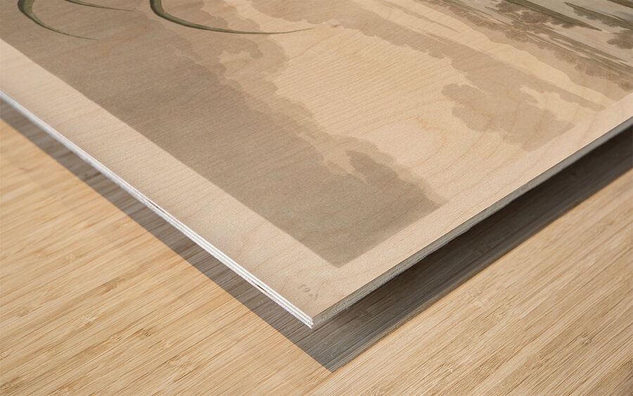 Roseate Spoonbill Wood print