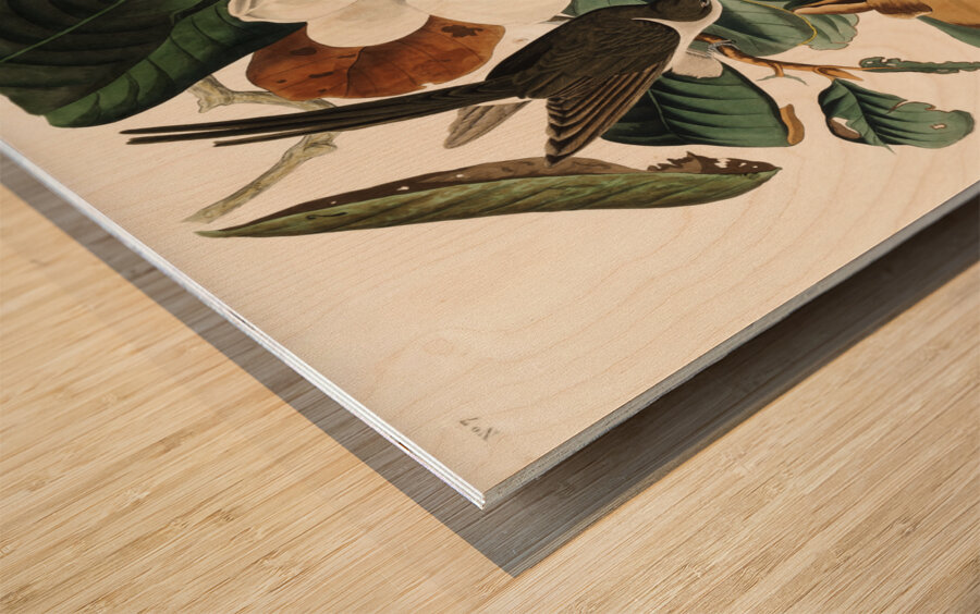 Black-billed Cuckoo Wood print