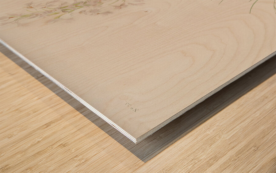 Tawny Thrush Wood print