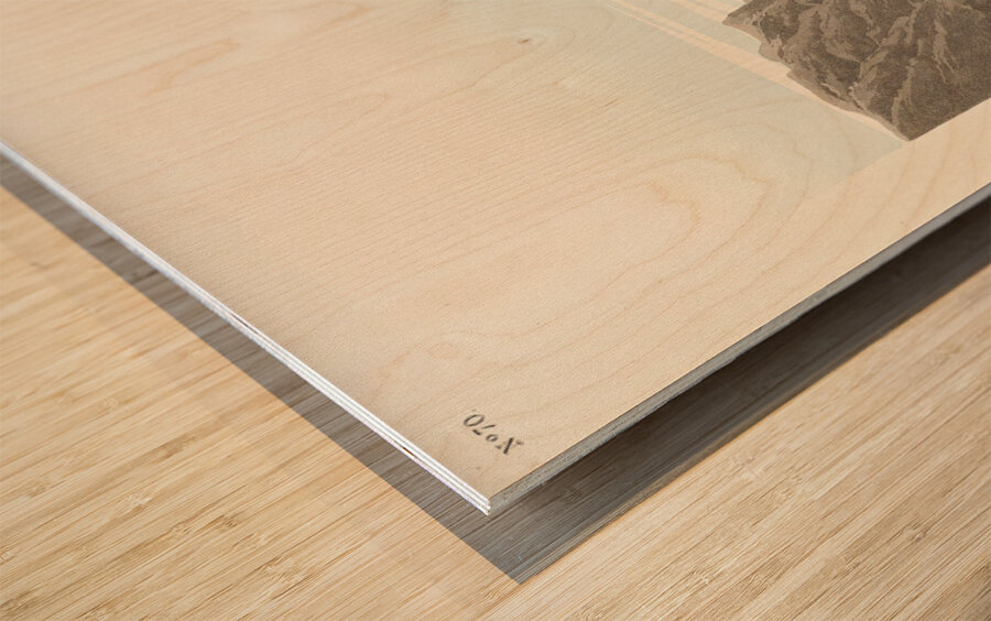 Rocky Mountain Plover Wood print