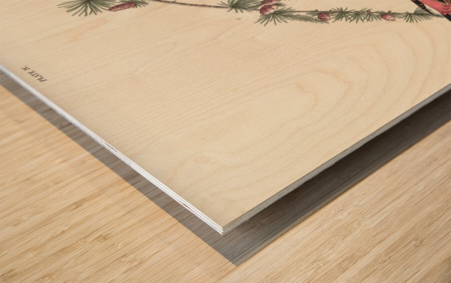 Purple Finch Wood print