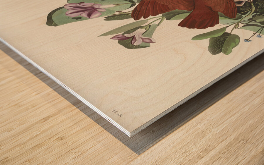 Key-west Dove Wood print