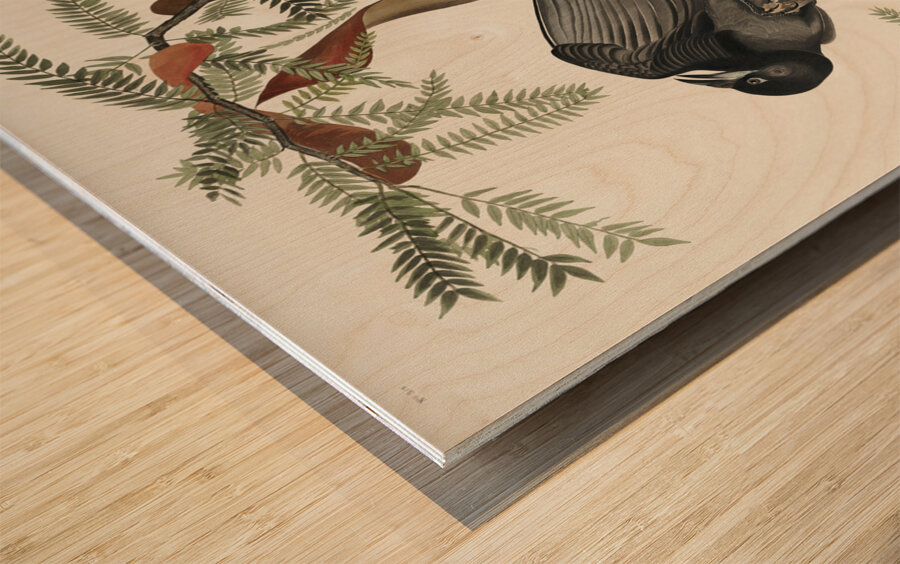 Fish Crow Wood print