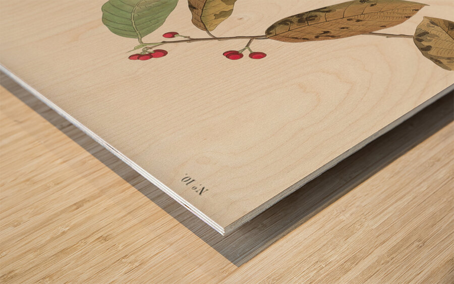 Fish Crow Wood print