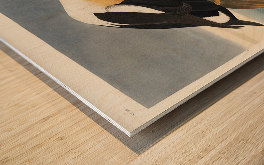 King Duck Wood print