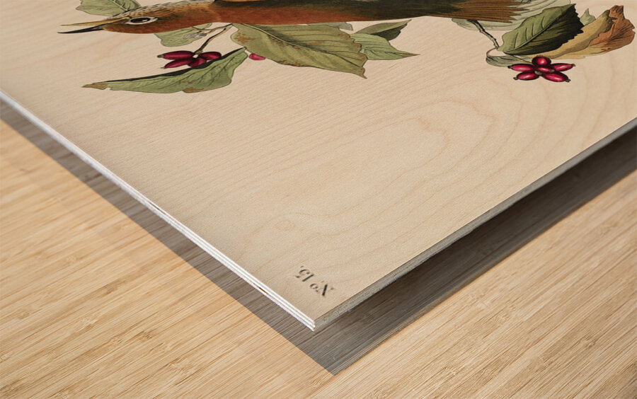 Wood Thrush Wood print