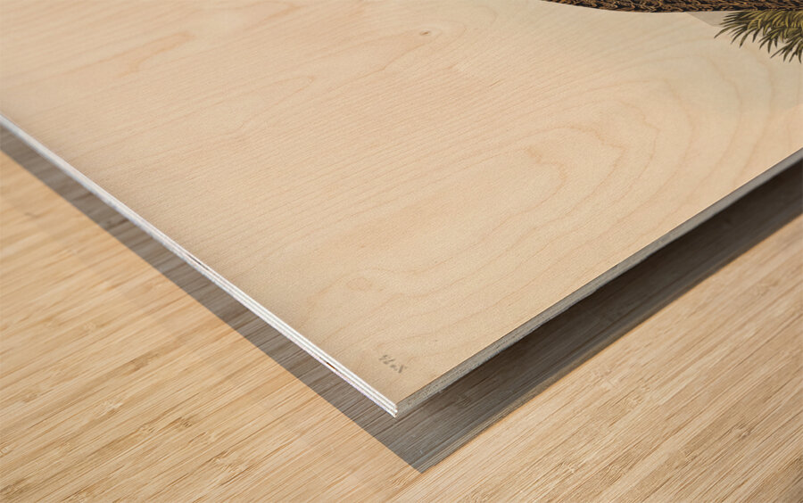 Cock of the Plains Wood print