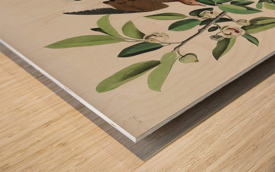 Lenaida Dove Impression sur bois