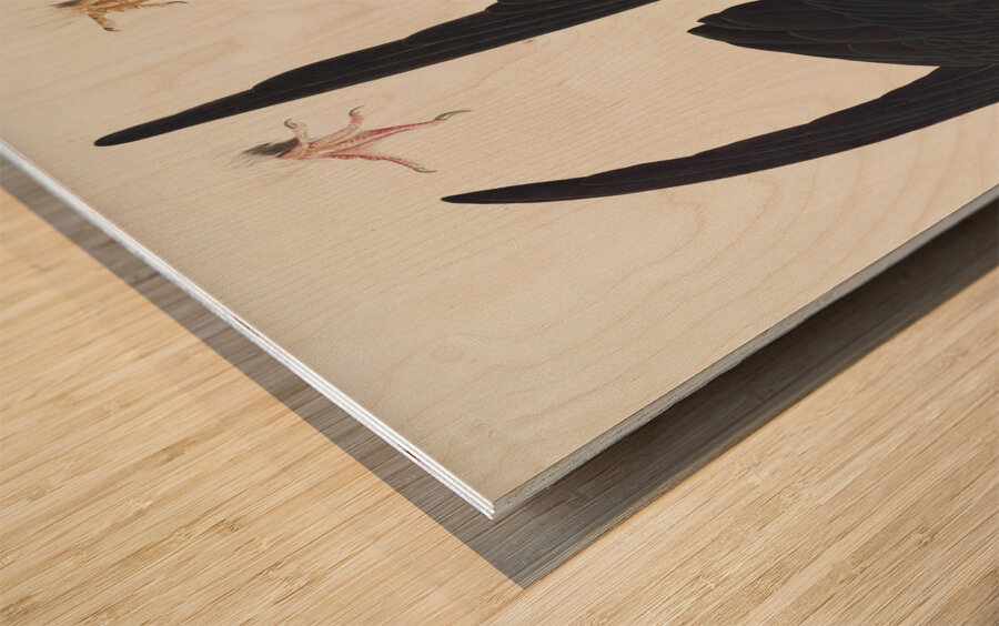 Chestnut-sided Warbler Wood print