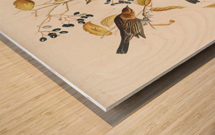 Rusty Grakle Wood print