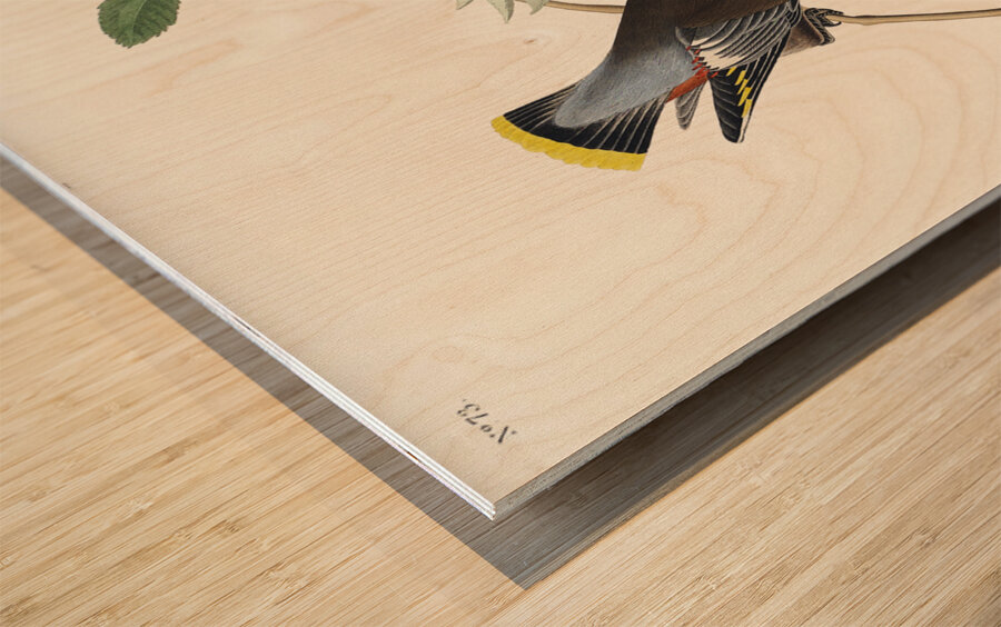 Rusty Grakle Wood print