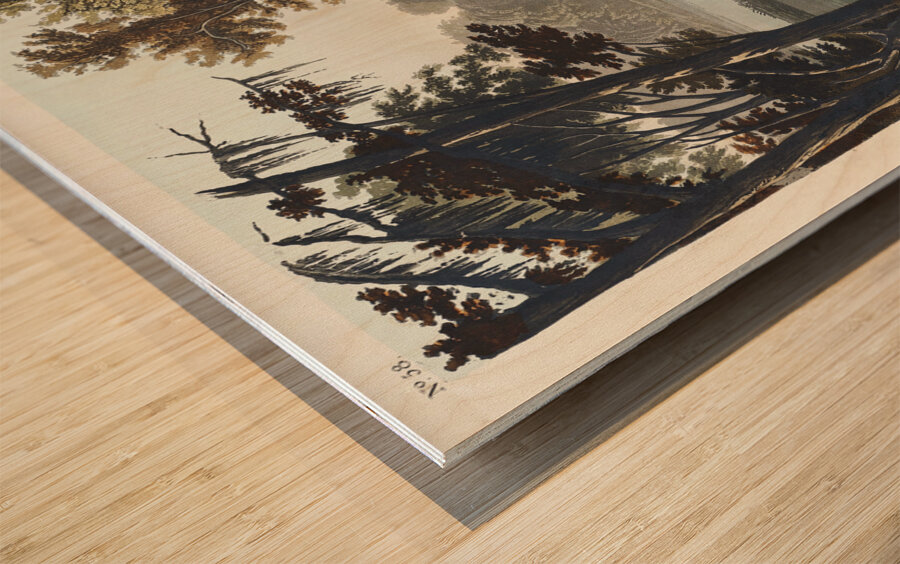 Yellow Shank Wood print