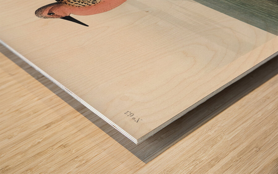 Red-breasted Sandpiper Wood print