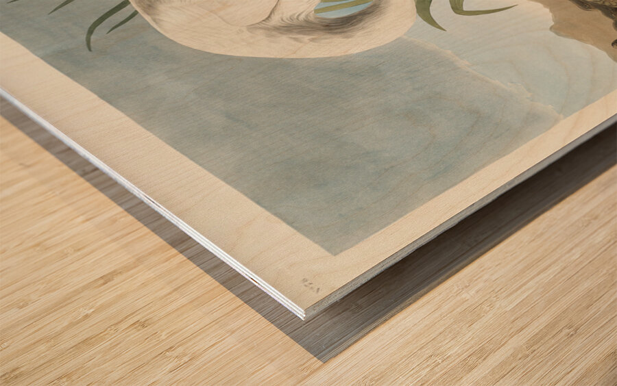 White Heron Wood print