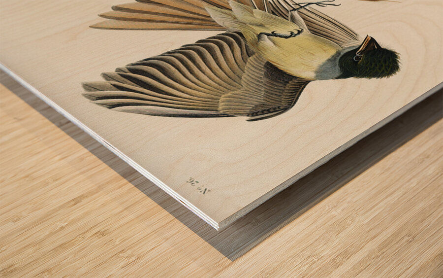 Great Crested Flycatcher Wood print