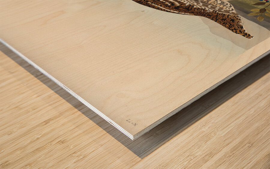 Sharp-tailed Grouse Wood print