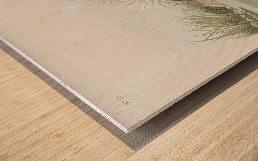 Pigmy curlew Wood print