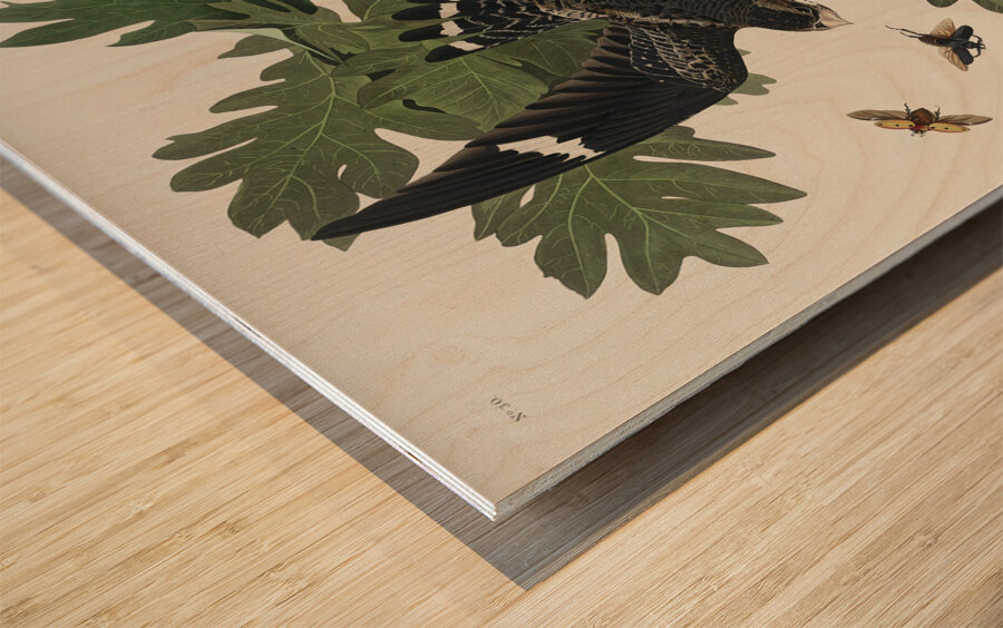 Night Hawk Impression sur bois