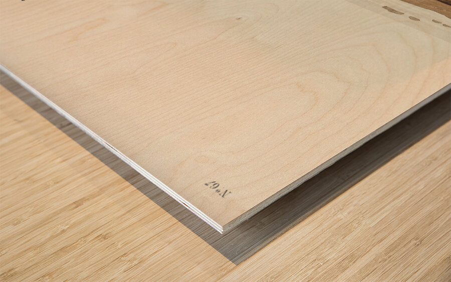 Red-breasted Snipe Wood print