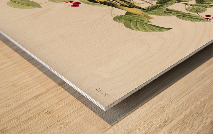 Carbonated Warbler Wood print