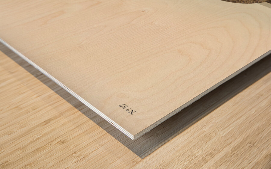 Purple Sandpiper Wood print