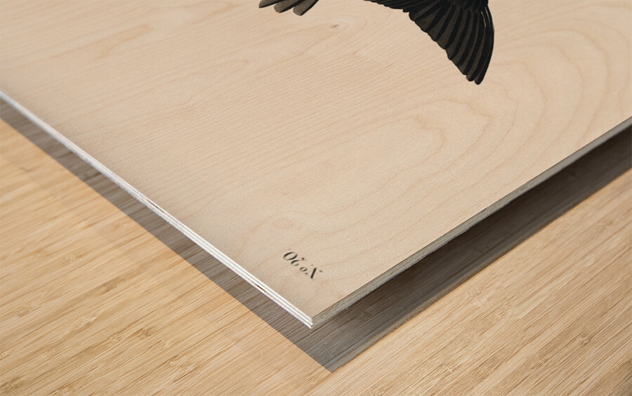 White-bellied Swallow Wood print