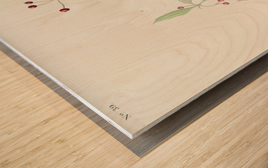 Canadian Titmouse Wood print