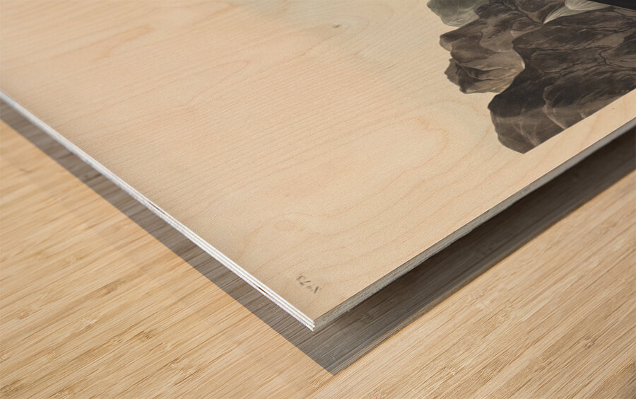 Long-tailed or Dusky Grous Wood print