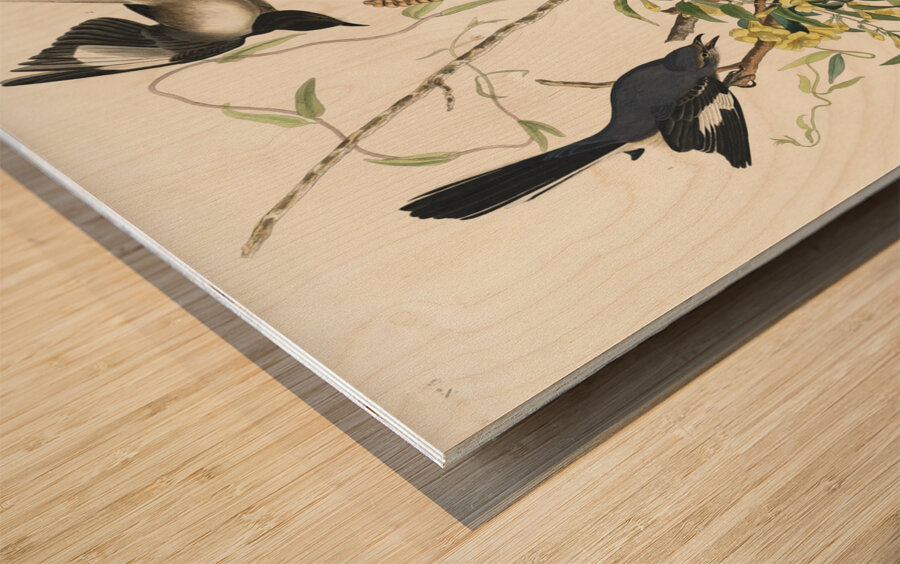 Mocking Bird Wood print