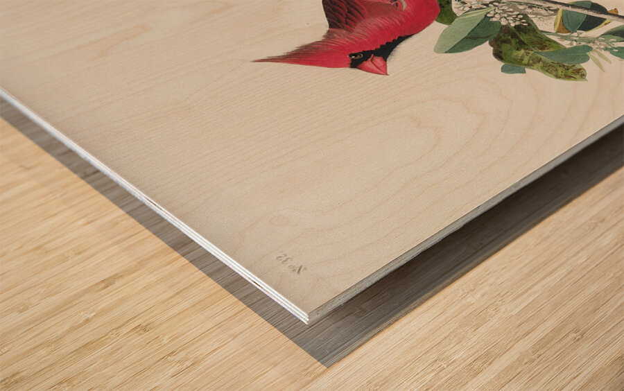 Cardinal Grosbeak Wood print