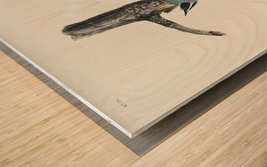 Red-breasted Nuthatch Impression sur bois