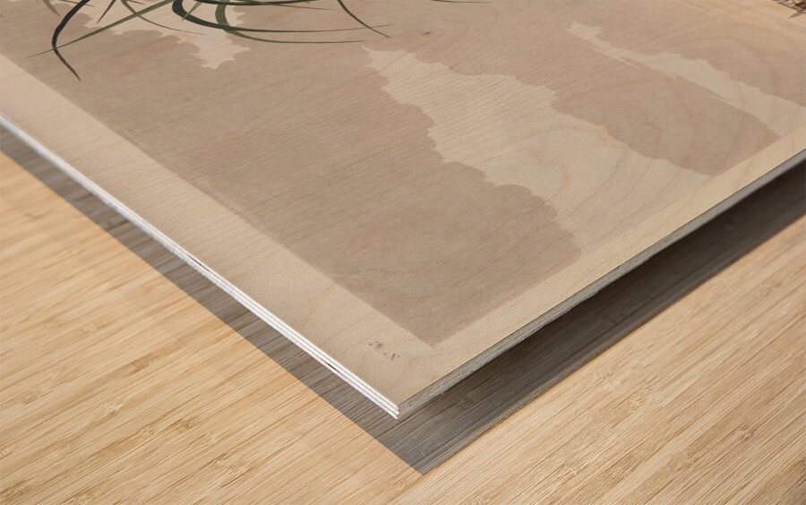 Long-billed Curlew Wood print