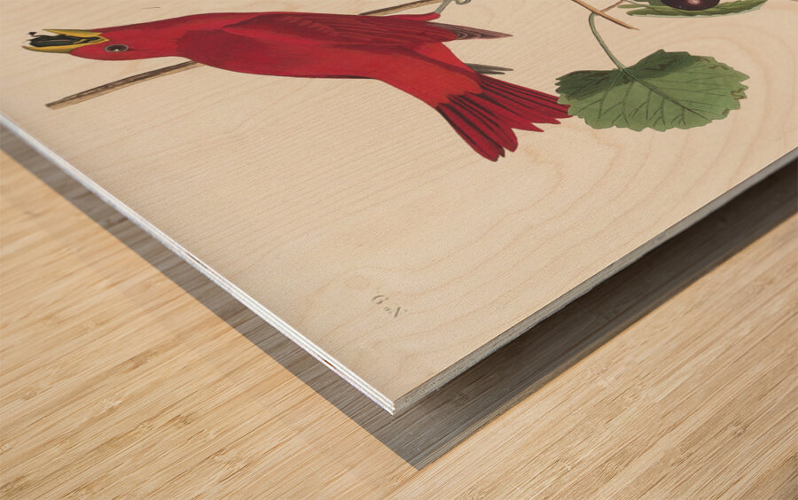 Summer Red Bird Wood print