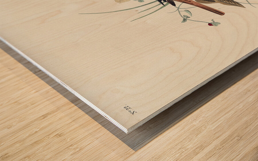 Fox-coloured Sparrow Wood print