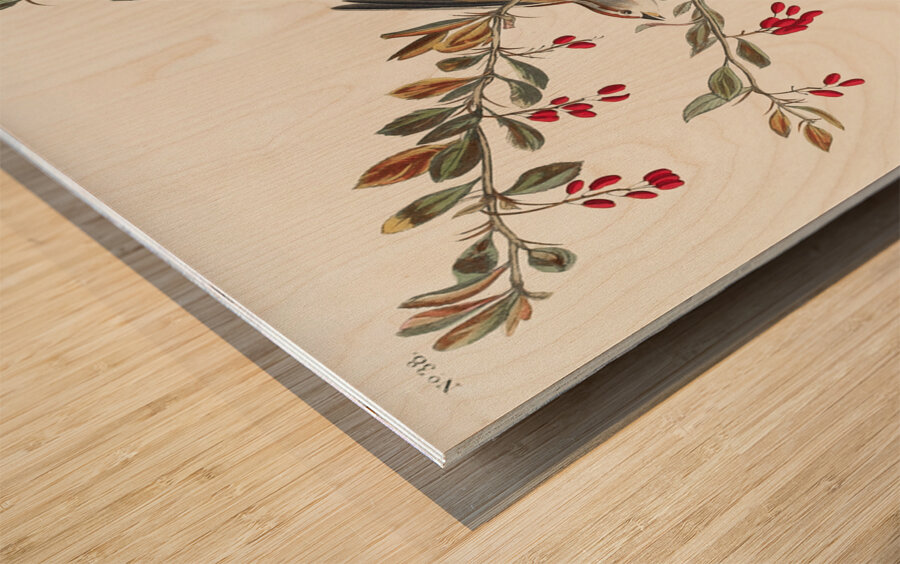 Tree Sparrow Wood print