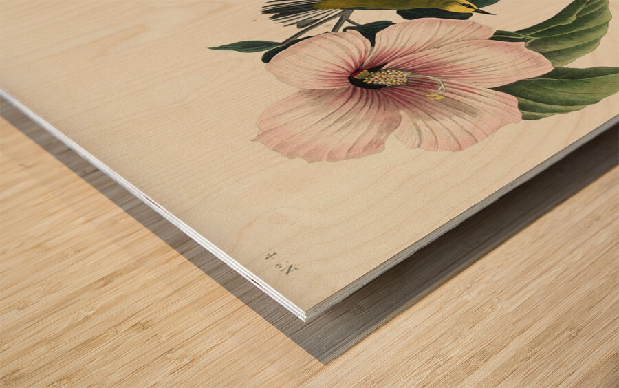 Blue-winged Yellow Warbler Wood print