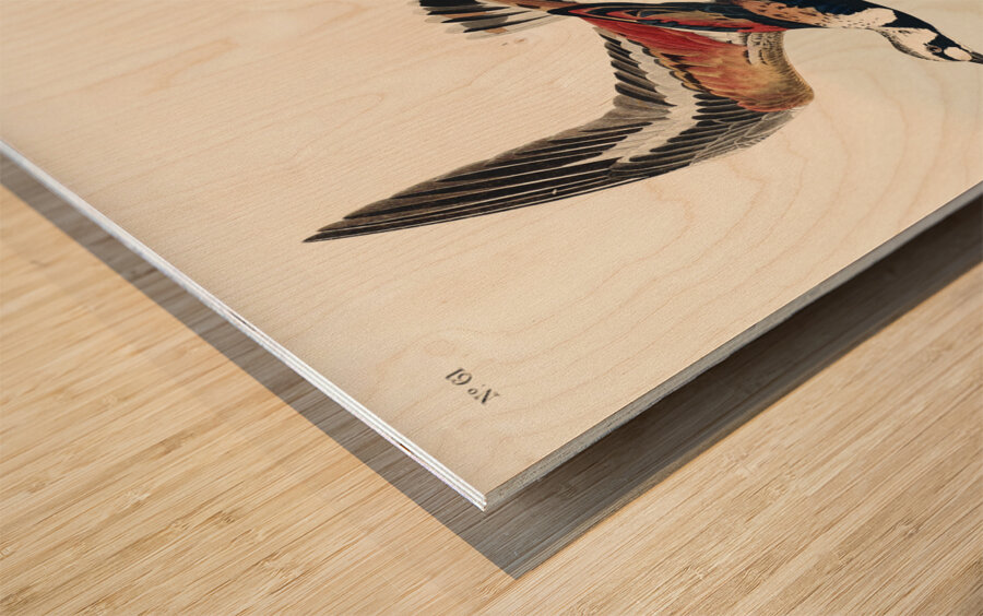 Turn-stone Wood print